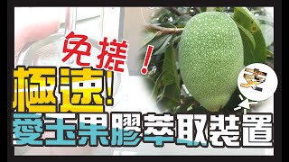 【認真系列#2】極速！愛玉果膠萃取裝置！免手搓的高速愛玉凍！ 