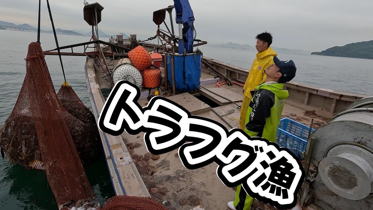 [トラフグ漁]春の訪れがやってまいりました！超最高級食材のトラブルを狙ってバッシャ漁に出てみました！