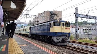 【西武鉄道への甲種輸送】JR貨物EF65-2074号機+小田急8000形8261F編成 通過シーン 小田原駅東海道貨物線にて