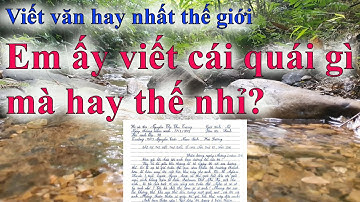 Bài văn lấy đi nước mắt nhiều người đoạt giải nhất thế giới của nữ sinh VN #213