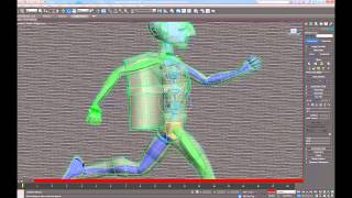 3D Animated Run cycle tutorial