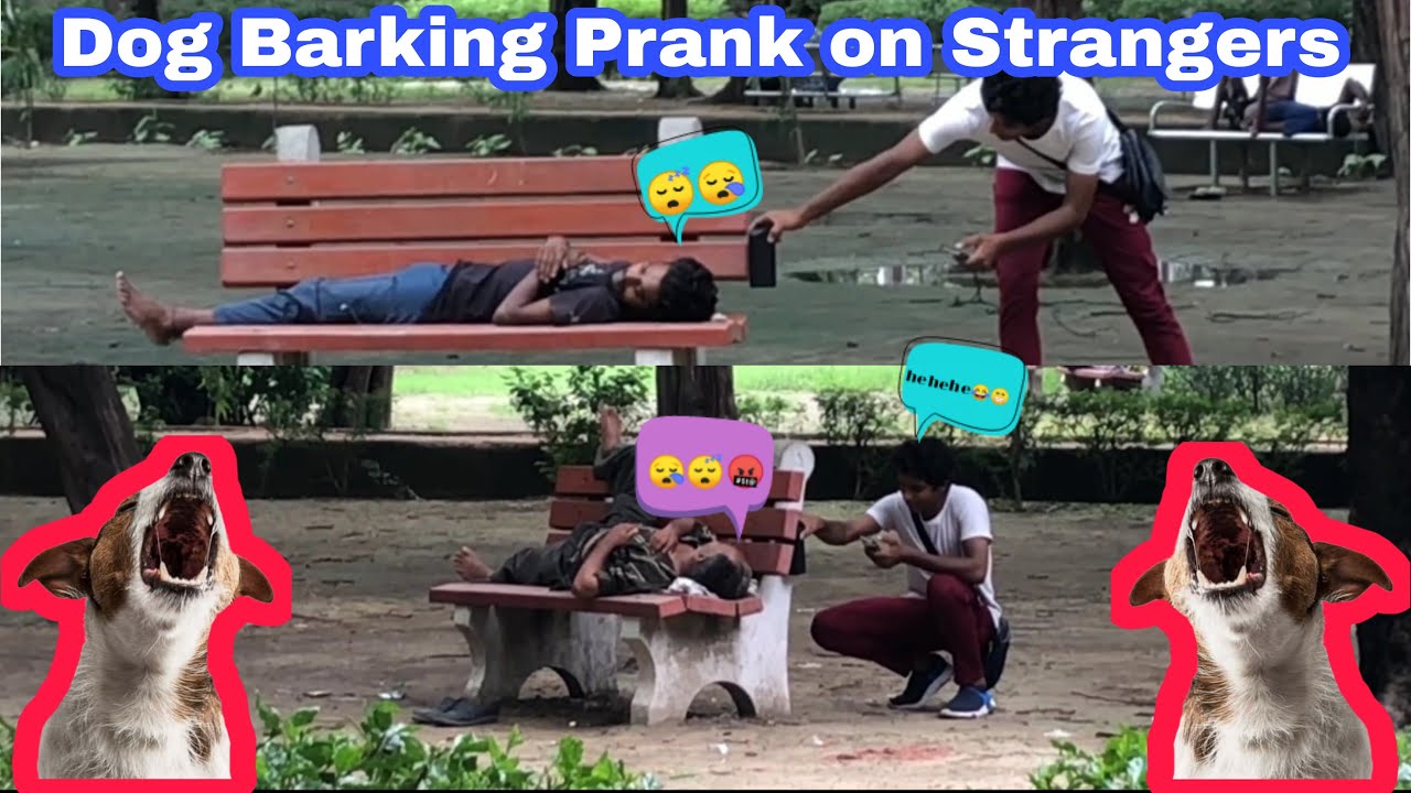 Fake Dog Barking Prank on Strangers || PRANK ASP