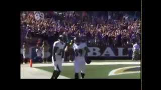 Steve Smith Sr. Panthers/Ravens Highlights (Bon Jovi "Livin' On A Prayer")
