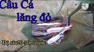 XUYÊN ĐÊM TRONG RỪNG CÂU CÁ LĂNG ĐỎ THUỶ ĐIỆN ĐỒNG NAI 5