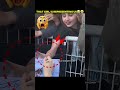 BLINK EMOTIONAL MOMENT..! #kpop #blackpink #trending #viral #100kviews #blink #jisoo