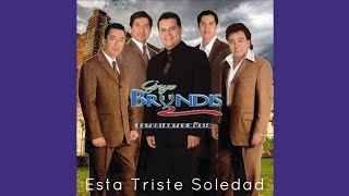 Grupo Bryndis - La Gata Bajo La Lluvia | Lupe Guevara I.A. | Audio (No Oficial)