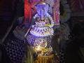 कट्टू नरेश जी अमर रहें #कट्टूश्याम