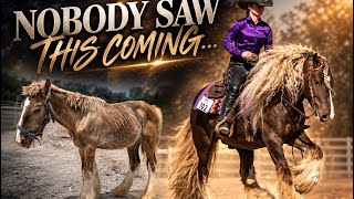 The horse they counted out , update on Tarzan