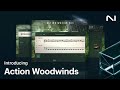 Introducing Action Woodwinds | Native Instruments