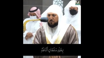 سوره غافر / الشيخ ماهر المعيقلي