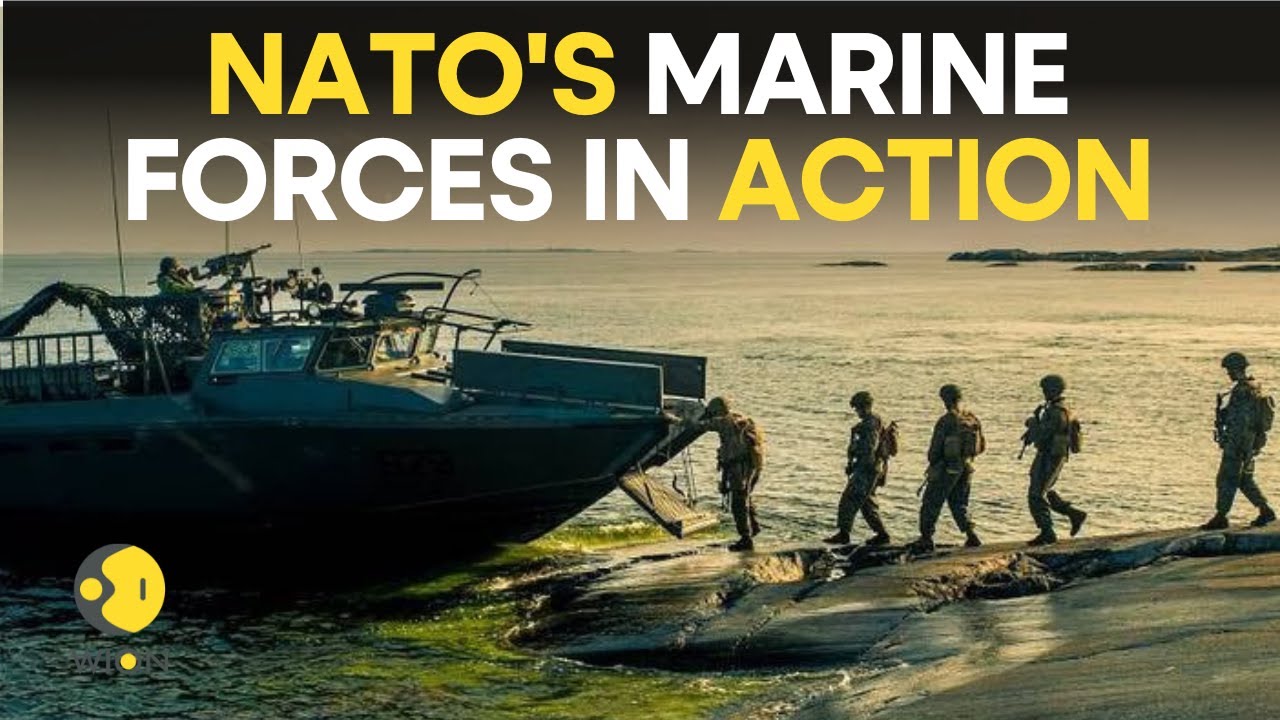 NATO’s Marine forces in action: On land and sea | World English News | NATO Live | WION Live