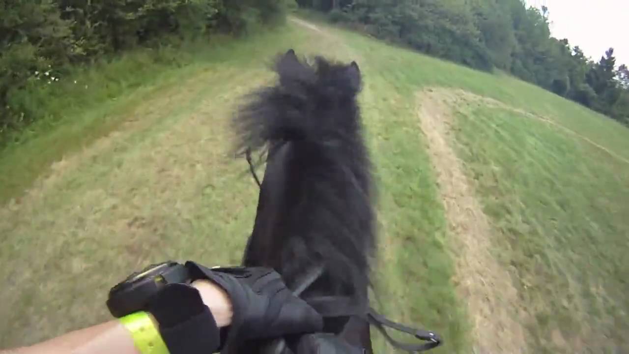 Black Horse соседка от первого лица. Camera shooting under Horse Video. Хорс видео