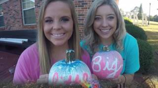 Alpha Delta Pi Troy University