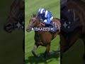 Can ANY horse beat the BRILLIANT BAAEED? 🐎 ♥️ | #Shorts
