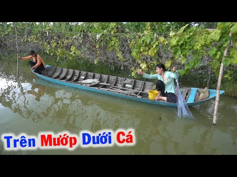 Video Giăng Lưới ở Khu Vườn Lý Tưởng Trên Mướp Dưới Cá Cuộc... - YouTube