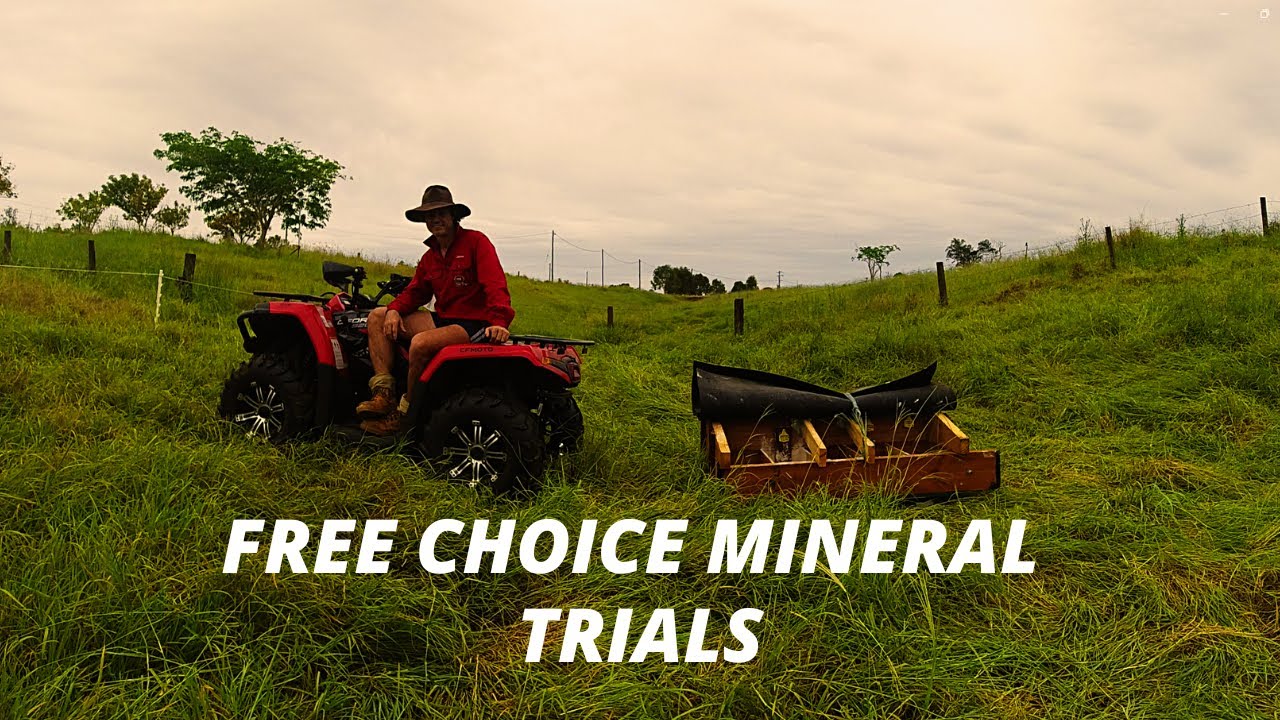 FREE CHOICE MINERAL FEEDER LIVESTOCK TRIALS!!