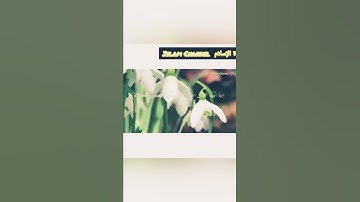 تلاوة هادئة لفضيلة الشيخ سليمان العتيبي  #تلاوة #خشوع #القرآن #islamchannel #islam #short #طمأنينة