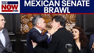 Mexican Politicians Brawl, Trump Administration Continues Cartel Crackdown Livenow From Fox