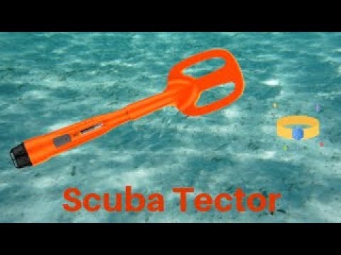 scuba tector dedektor ile denizde altin yuzuk bulma ani youtube
