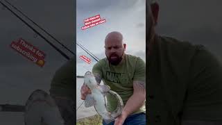 How to handle a dogfish #shark #shorts #shortvideo #seafishing