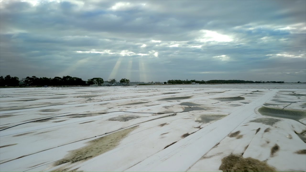 Powering the Western Treatment Plant with Biogas