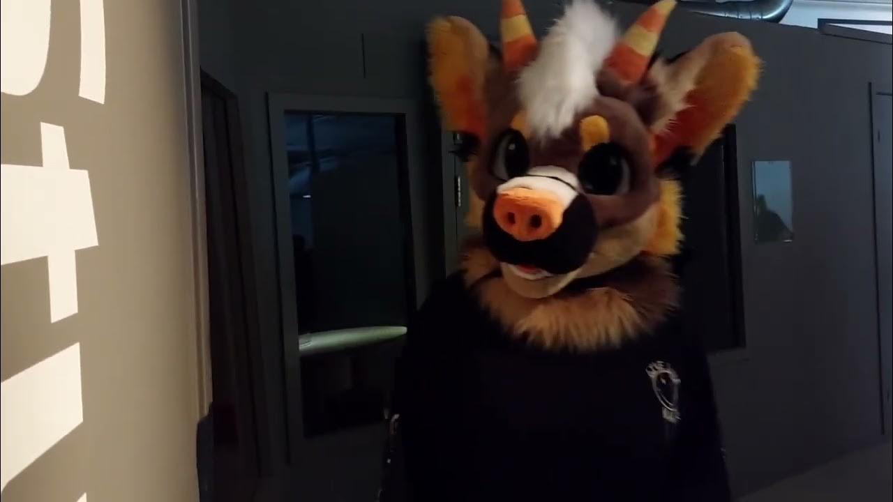 90s-rave-song-march-19-2023-furwalk-youtube