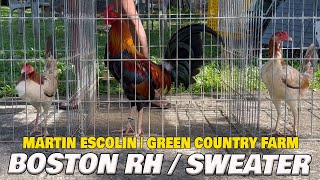 Martin Escolin Green Country Farm - Big Farm In The Philippines Farm Visit