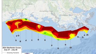 Scientist find, Gulf of Mexico dead zone  has grown larger than average