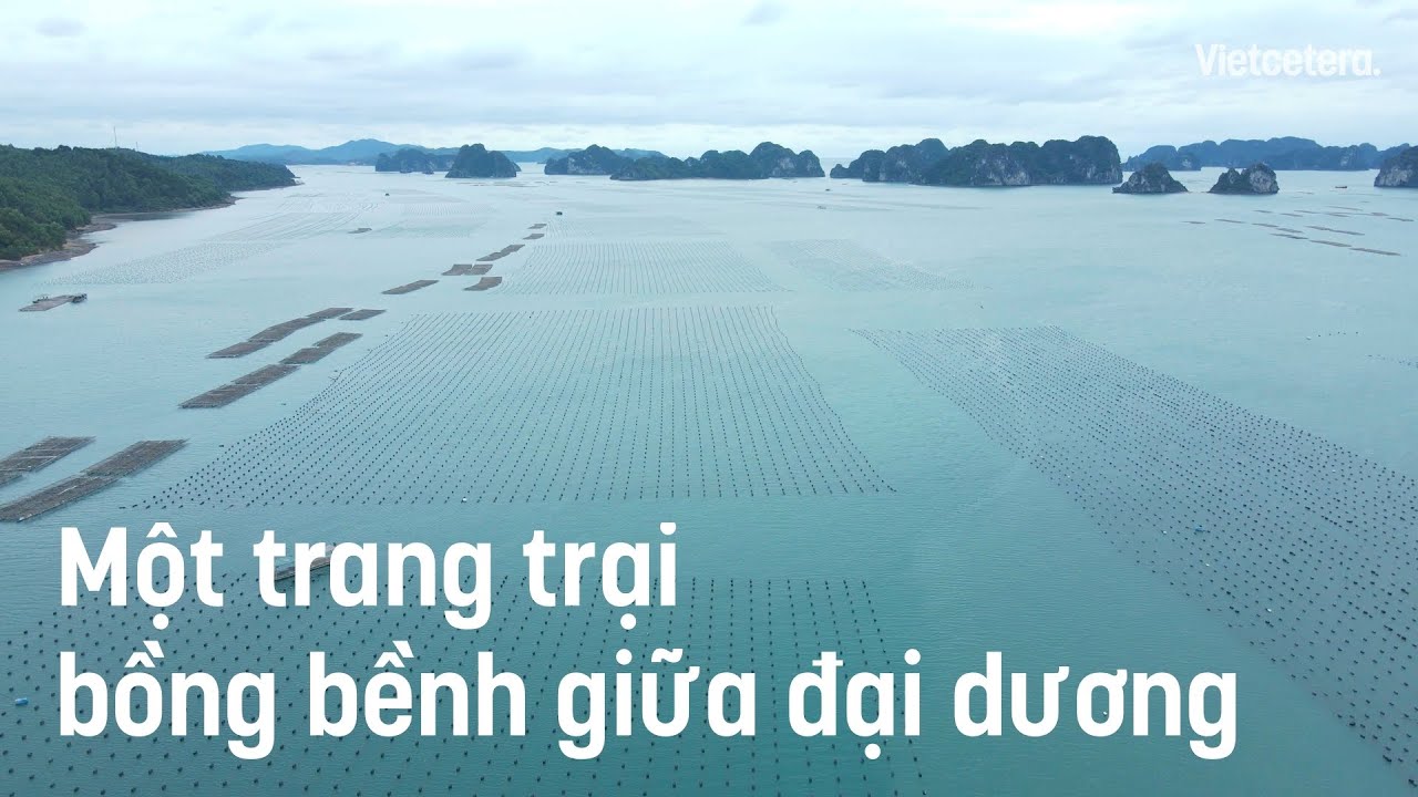 Một trang trại bồng bềnh giữa đại dương Một trang trại bồng bềnh giữa đại dương