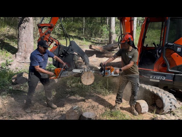 Mr Hyde Husky 572Xp Takes On Stihl 500i & 462 - YouTube