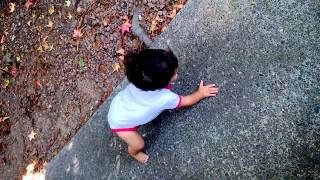 WP 20131006 001