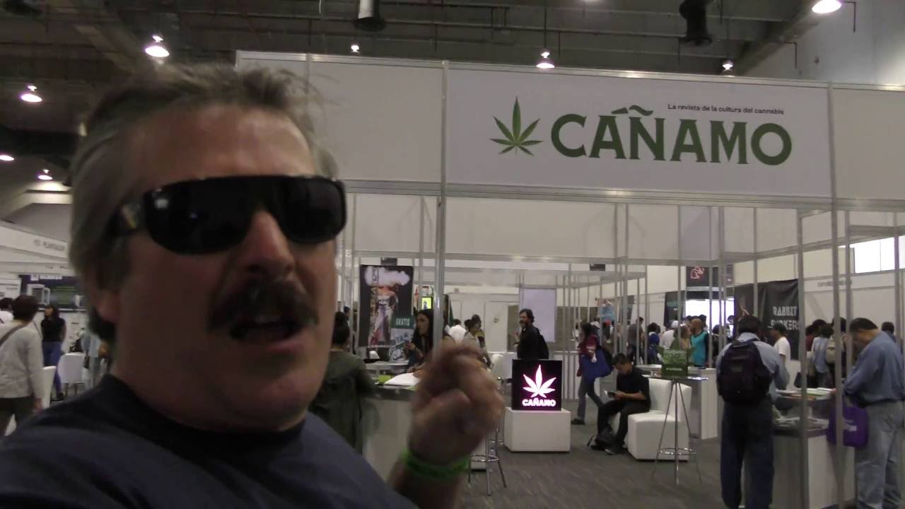 Expoweed - Walk around - Mexico City