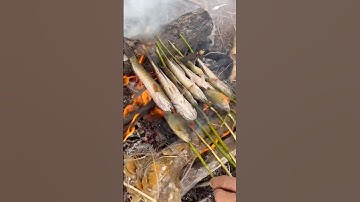 Cá Lóc Nướng Trui Món Ăn Đặc Sản Của Bà Con Miền Tây Nam Bộ #travel #dulich #mientay #khampha