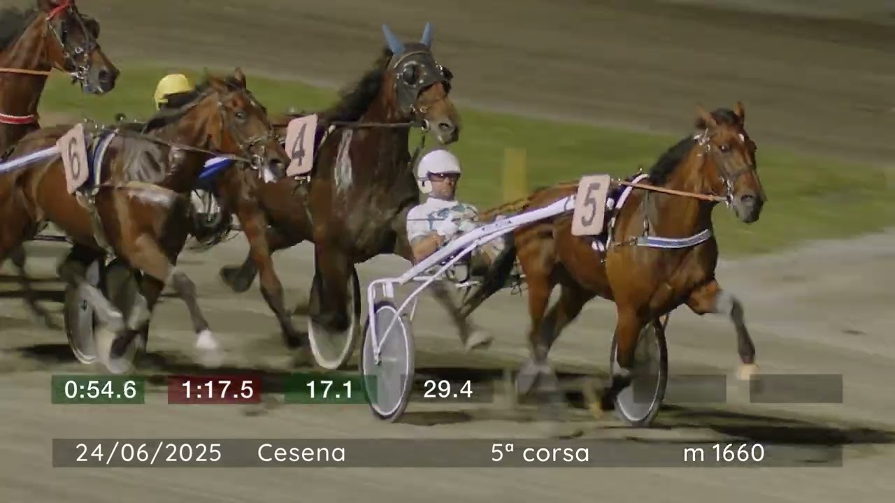 2025 06 24 | Corsa 5 | Metri 1660 | Premio Hippopizza - La Tenda