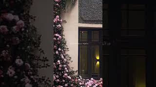 May Allah bless our parents and grant them  good, health and happiness and long life ,Ameen❤️😇