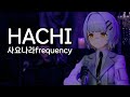 [한글자막] 사요나라frequency Acoustic LIVE 2024 [ HACHI ]