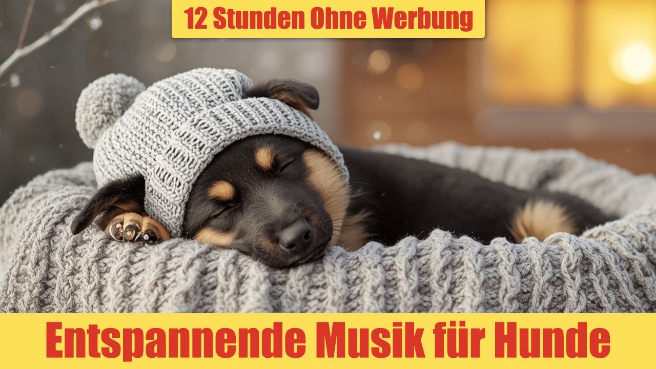 Entspannende Musik für Hunde - 12 Stunden Ohne Werbung | Perfekt für allein zu Hause_vol.11