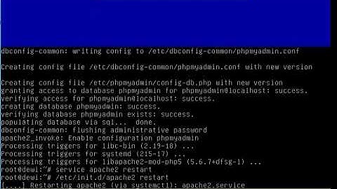 Tutorial setting DNS SERVER debian 8,vmware