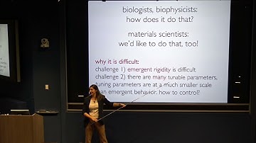 Lisa Manning - Understanding How Biological Cells Self-Organize Into Organs... (January 31, 2024)