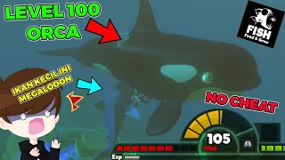 Aku Berhasil Kalahkan MEGALODON - Fish Feed And Grow screenshot 1