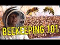 How to do backyard beekeeping inside southern california hives