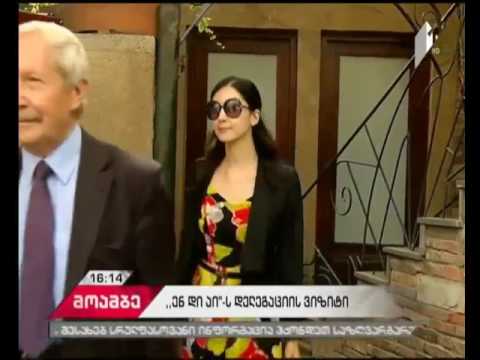 NDI-ის მონიტორინგის მისიის წევრები ალეკო ელისაშვილს შეხვდნენ