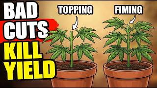 Topping vs FIMing: Which is Better