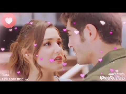 انت الي بين ايديك بدأت أعيش حماقي حالات واتس اب 2019