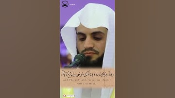 القارئ رعد محمد الكردي #قران_كريم #رعد_الكردي #foryou #quran