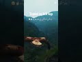 #travel #trending #bird