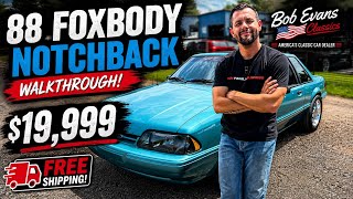 1988 Foxbody Notchback Walkthrough 🔥 $19,999 Delivered!