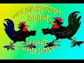 ДжерсЫ или АвстралорпЫ, какая порода лучше?/Comparison of breeds Jersey giant and Australorp.