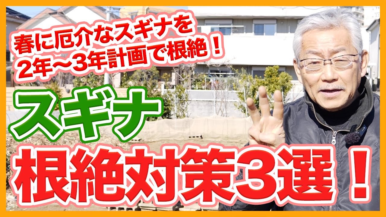 家庭菜園や農園栽培で薬剤を使わずスギナを根絶する対策3選！つくしを