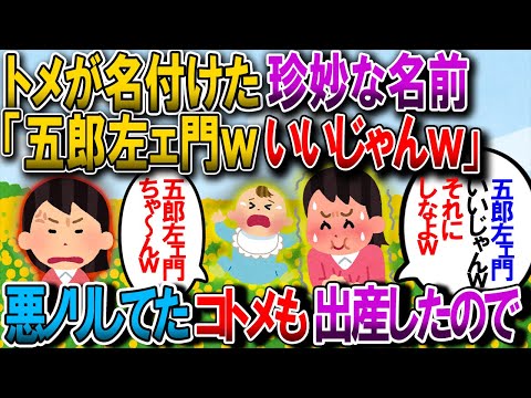 【修羅場】息子出産時にトメ発案の珍名をごり押ししたコトメ「いいじゃーん、カッコイイよ！嫁子さん古風なの好きじゃん！」→今度はコトメに男児が生まれたというので仕返し【2chゆっくり解説】